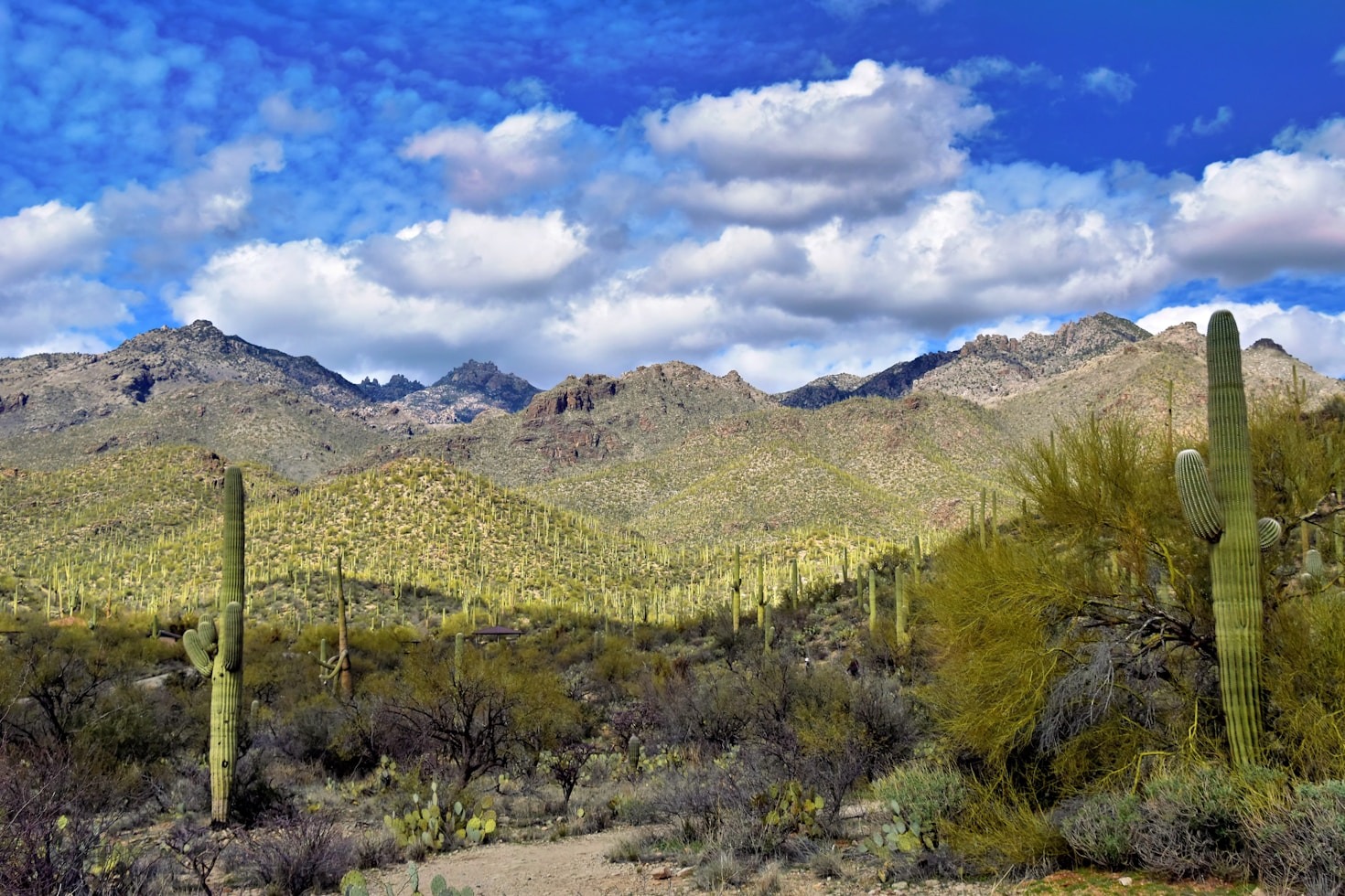 What You Need to Know About Solana Guest Ranch