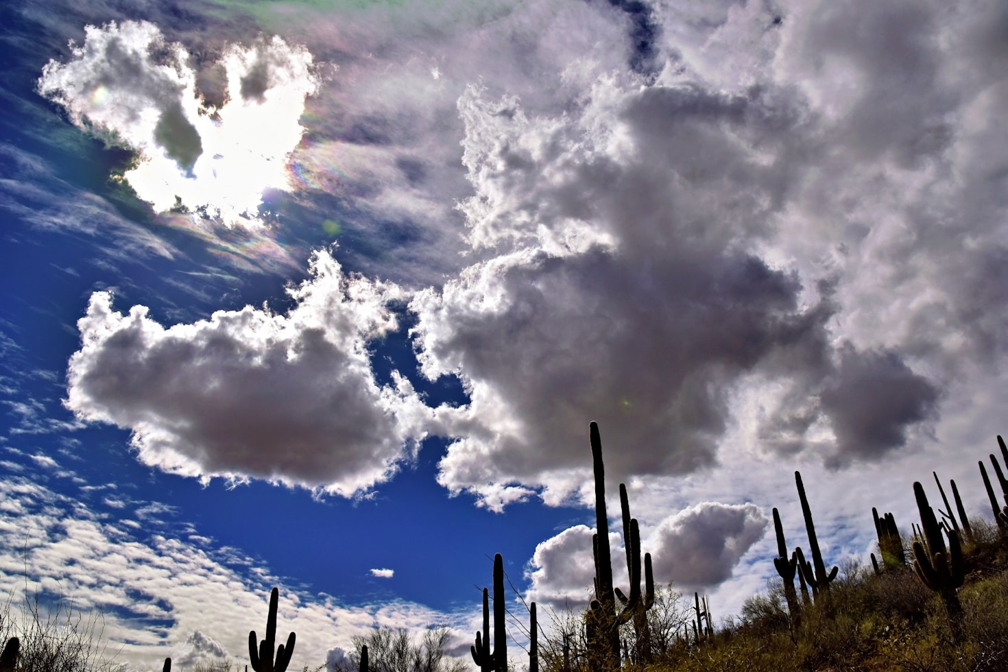 How Local Venues Impact Tucson Residents